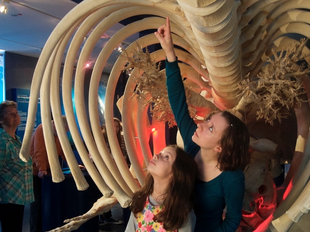 Frau und Kind bestaunen ein Skelett im UNESCO-Weltnaturerbe Wattenmeer Besucherzentrum Wilhelmshaven